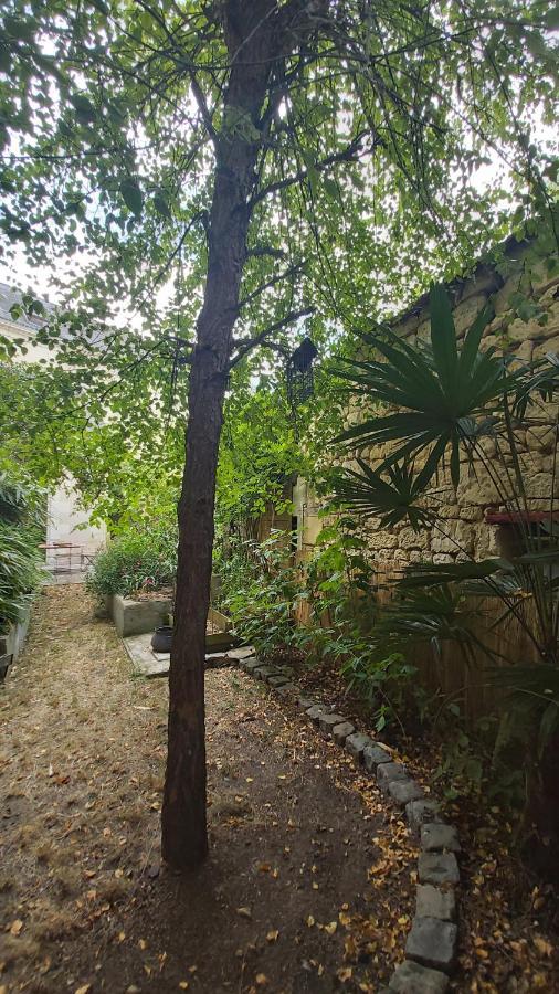 La Maison De Louise Chinon #Chateaux #Vignobles מראה חיצוני תמונה