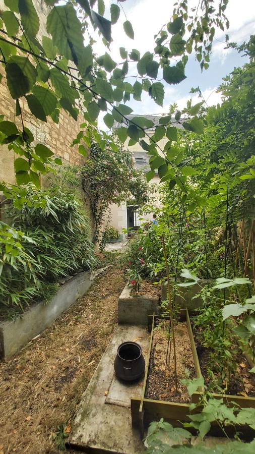 La Maison De Louise Chinon #Chateaux #Vignobles מראה חיצוני תמונה
